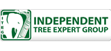 Independent Tree Expert Group Logo