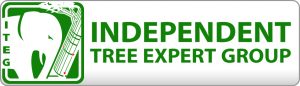 Independent Tree Expert Group, Unabhängige Baumexperten